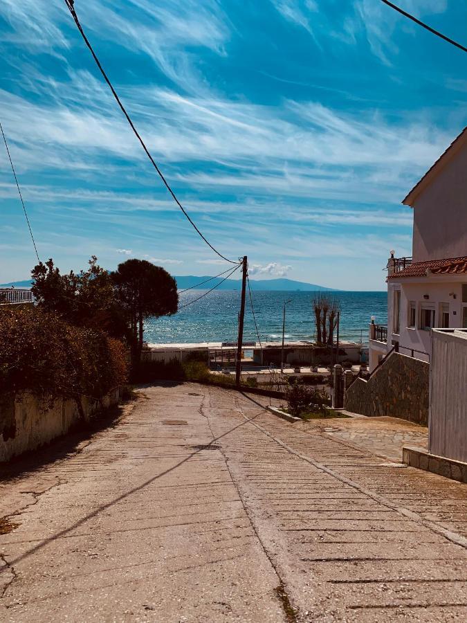 Toulipa Seaside